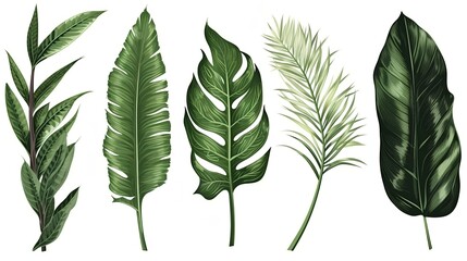 Set of Tropical Leaf Isolated on White Background, Image Ai Generated