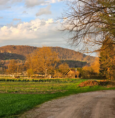 spring landscape in the countryside