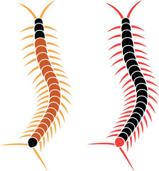 Scolopendra logo. Isolated scolopendra on white background