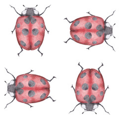 Watercolor Cute colorful ladybugs clip art collection isolated on white background. seamless pattern