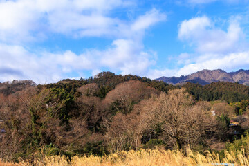 Fototapeta na wymiar 早春の美しい里山の風景と青い空