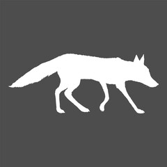 White Silhouette Walking Fox. Vector Illustration.