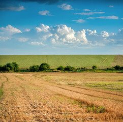 Fototapeta na wymiar Wheat fields with stubble and green fields with patterns on a sunny summer day, agricultural landscapes at harvest time