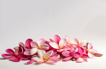 Naklejka na ściany i meble frangipani flower with generative ai