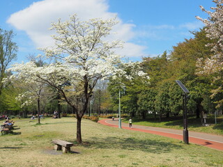 埼玉県彩の森公園