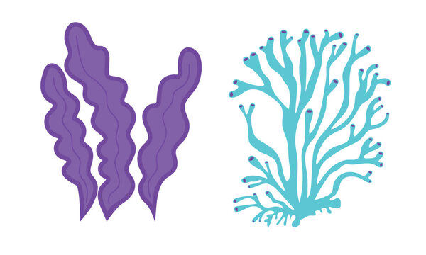 Seaweed. Cartoon ocean plants. Doodle style underwater isolated decor elements. Colorful silhouettes for decoration. Algae and kelp for aquarium. Botanical hand drawn summer marine vector set