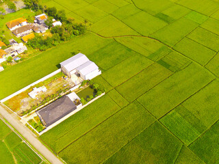 Bird's eyeview. Stunning aerial photography of some houses among the verdant rice fields in the city of Bandung - Indonesia