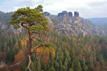 Blick von der Basteibrücke auf den Gansfelsen ( kleine Gans )