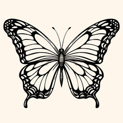 Butterfly vector for logo or icon,clip art, drawing Elegant minimalist style,abstract style Illustration