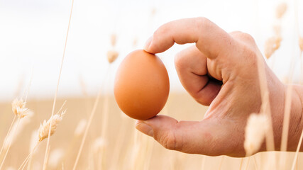 Farmer holding brown chicken egg on a background of natural landscape. Copy space