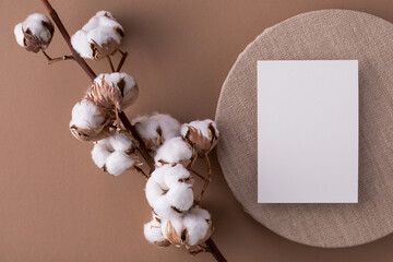 Cotton branch with empty blank paper sheet card top view. Minimal composition from natural cotton flowers for design, blogging or branding in flat lay style.