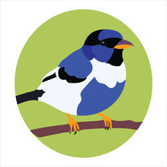 Drew-a-bird-illustration-outline-vector-Artwork