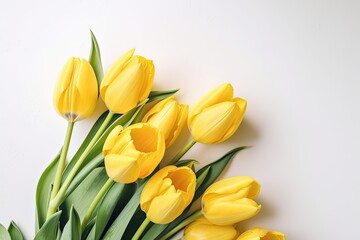 Yellow tulips on white background with copy space. Generative Ai.