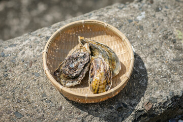 牡蠣　生牡蠣