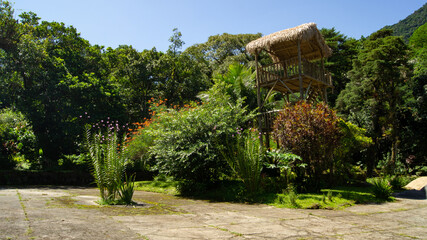 Casa da Árvore
