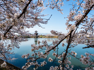 桜の向こうに弥生の楼閣