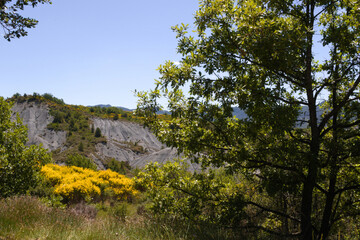Paysage des Baronnies