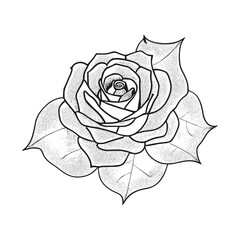 icon of silhouette black rose