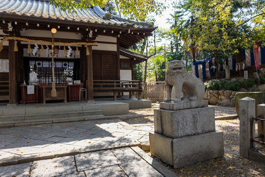 Komainu Bilder Durchsuchen 11,468 Archivfotos, und