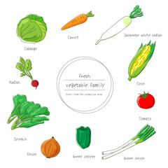 野菜セット　vegetable