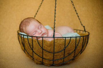 baby in a basket