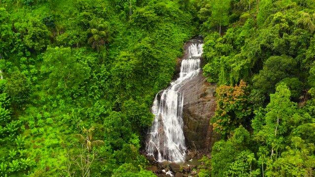 Aerial view of Falls in green forest. Waterfall in the tropical mountain jungle. Kuda Falls, Sri Lanka.