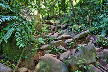 Morn blanc nature trail, rocks to hike on on the nature trail, Mahe Seychelles
