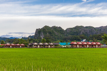 Fototapeta na wymiar Farmer's village in rural of Laos.