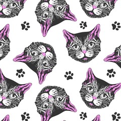 cute cat in snowy christmas sock. background hand drawn of  Children's shirts and pants gift wrapping paper abstract baby background candy cartoon celebration child christmas claus color