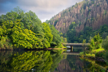 Fototapeta na wymiar lake in the forest with a bridge