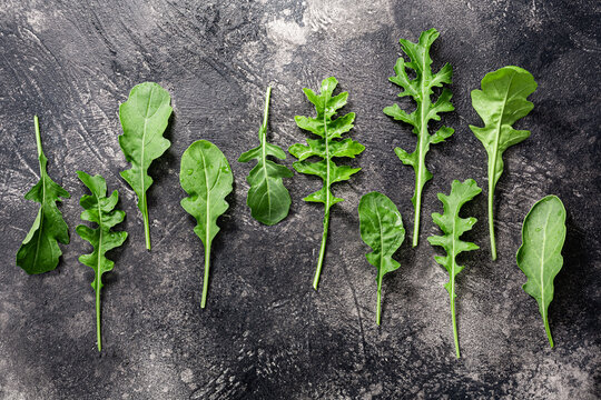 Fresh arugula atop dark textured backdrop, top view. Diplotaxis tenufolia leaves