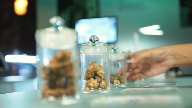 Young Woman Stoner Customer Chooses Cannabis Buds from Glass Jar in Medical Marijuana Dispensary, High Quality 4K Ganja Weed Concept Footage. Chiangmai, Thailand.