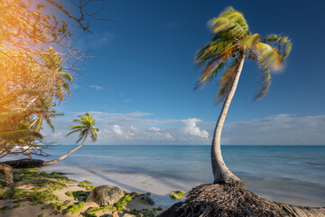 Caribbean shore blue background