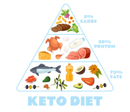 Keto diet ketogenic pyramid protein health concept. Vector graphic design illustration