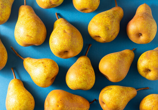 Yellow Pears On A Blue Background. Fruit Harvest. Autumn Still Life. Pear Variety Bera Conference. Vitamin Food. Pattern Top View.