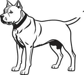 Illustration of a fierce black and white fighting dog, possibly a pit bull, Staffordshire, or mastiff, captured in monochrome