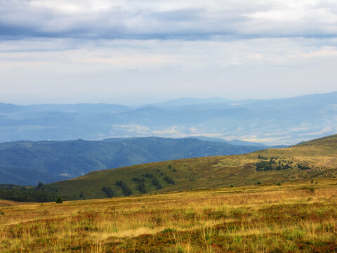 carpathian countryside with grassy meadows. view in to the distant rural valley