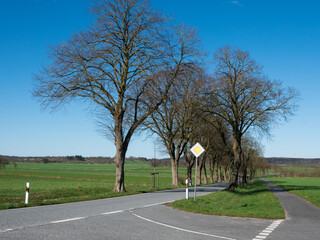 Landstraße mit Wiesen und Feldern in Norddeutschland