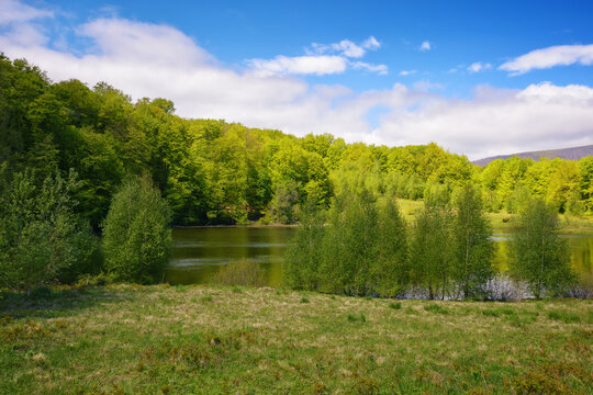scenery with park lake. forest on the hill beneath a sky with fluffy clouds. warm april weather