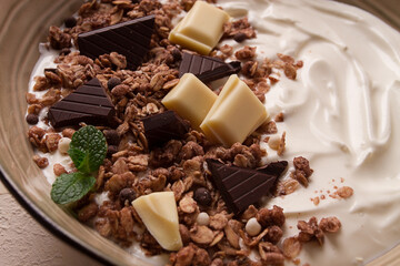 yogurt with chocolate muesli, breakfast, close-up, fork on top, no people,