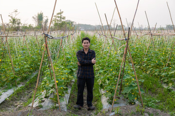 Asian male farmer in cucumber garden inspecting and checking produce for delivery online Young farmer and vegetable farm, agribusiness concept