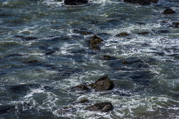 Bodega Bay Dunes Floral Display