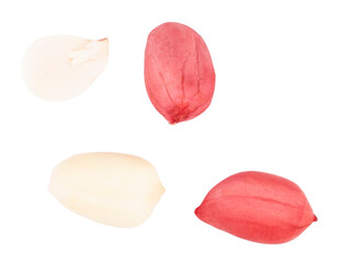 Peanuts isolated on a white background