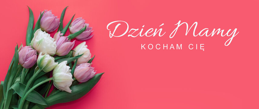 Mamy Bilder Durchsuchen 611 Archivfotos, und Videos