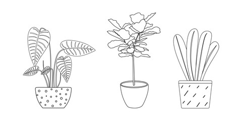 Hand drawn set of house plant in a pot. Outline room plant collection isolated on white background. vector illustration