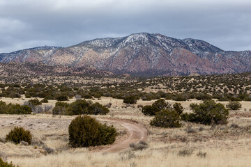 Dirt road winding through yellow grass leading to mountain range in the high desert