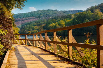bridge in autumn