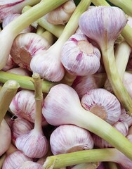 Freshly harvested garlic bulbs displayed for sale at the Vienna Naschmarkt street market