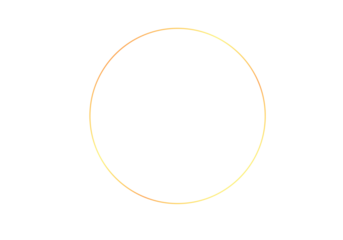 Flower foliage circle overlays, golden ring, backdrop overlays, maternity rings, art portrait, Digital Background, texture, png