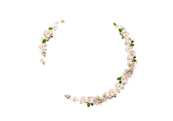 Flower foliage circle overlays, golden ring, backdrop overlays, maternity rings, art portrait, Digital Background, texture, png